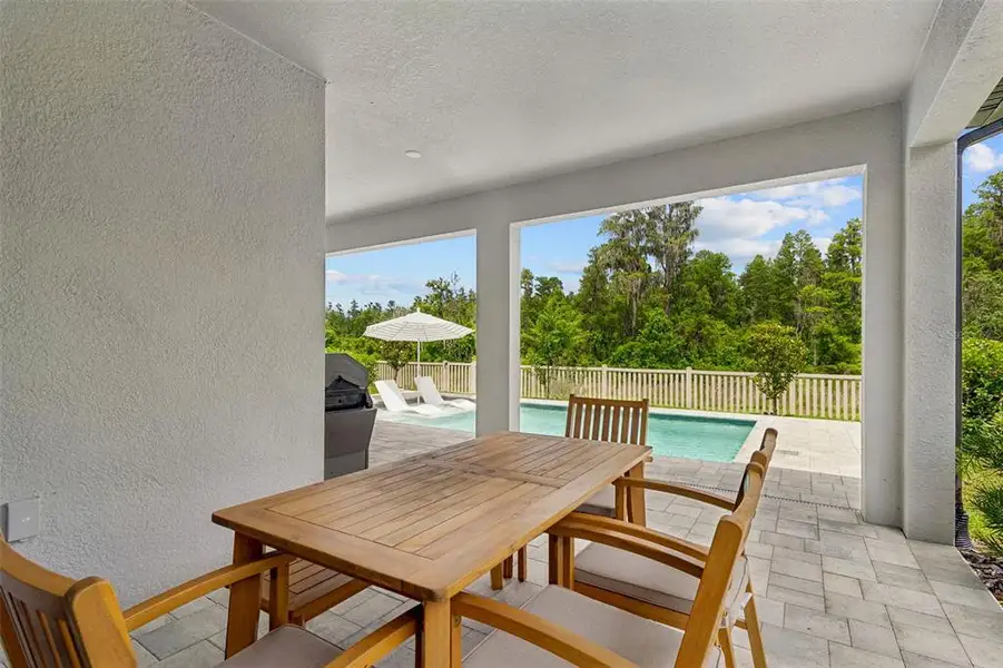 Exterior details and patio area of a home in Whispering Oaks Preserve, Wesley Chapel (Image 3).