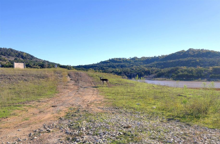 Natural landscape and outdoor views near  in Blanco (Image 21).