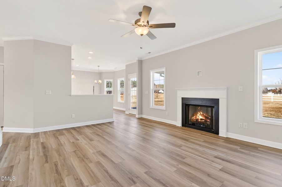 12-web-or-mls-DSC02711