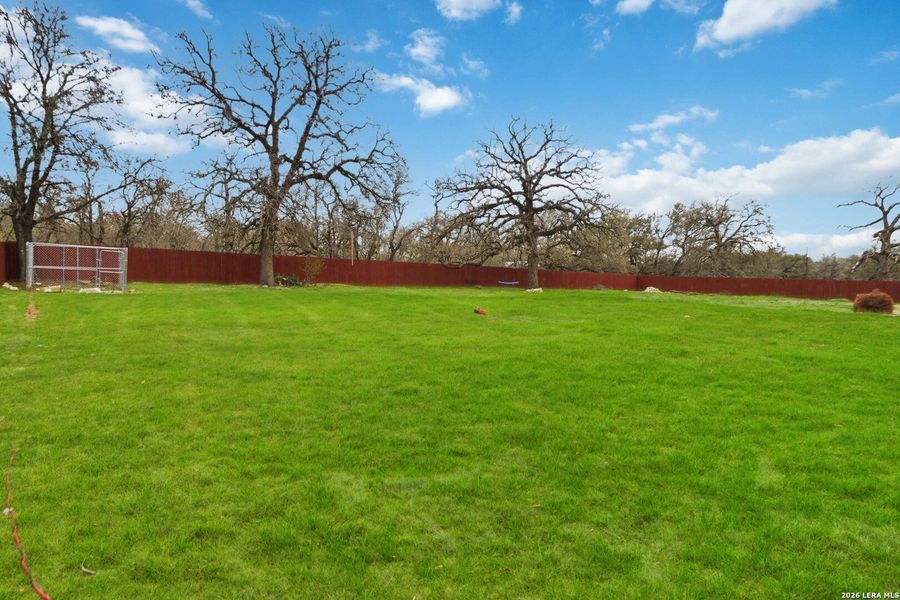 Natural landscape and outdoor views near  in La Vernia (Image 32).