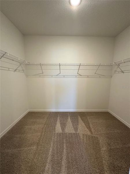 Spacious, unfurnished interior of a new home in Broadleaf, Parrish (Image 11).