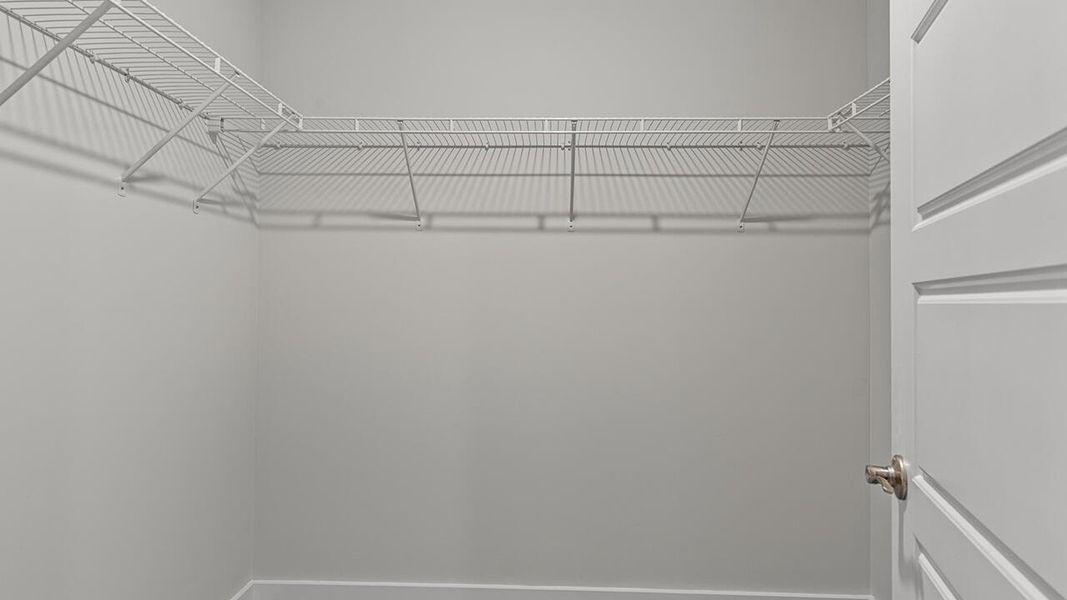 Spacious, unfurnished interior of a new home in Sidbury Station, Castle Hayne (Image 38).