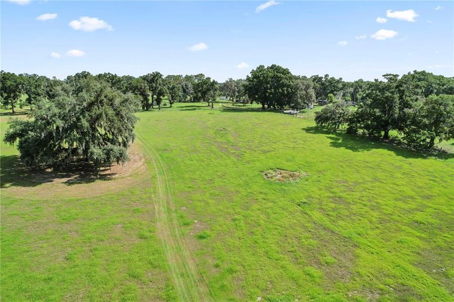 Natural landscape and outdoor views near  in Dade City (Image 15).