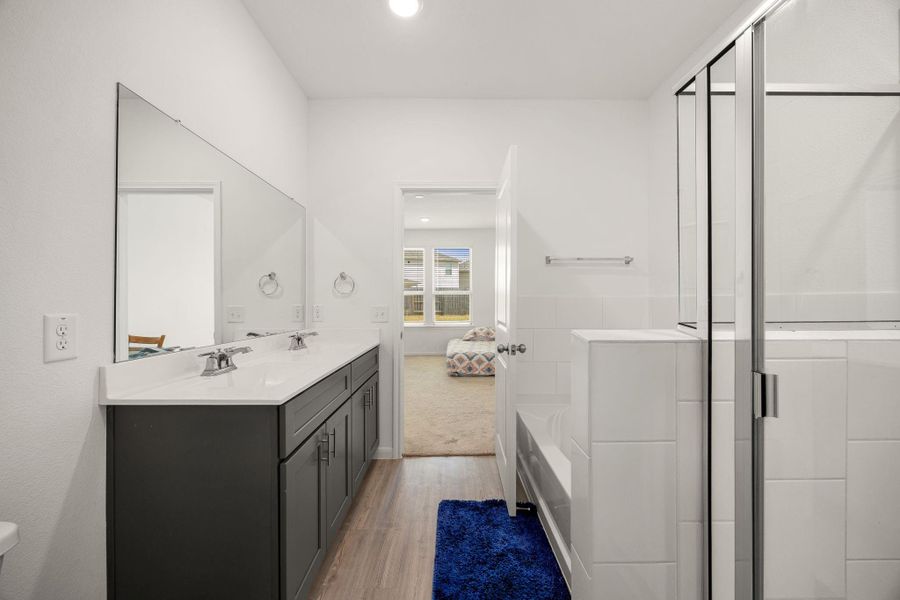 Primary bathroom