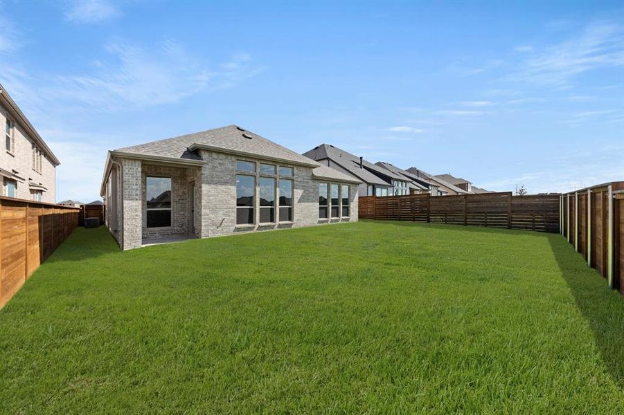 27. 1708 Possum - Back (2) 27. 1708 Possum - Back (2)