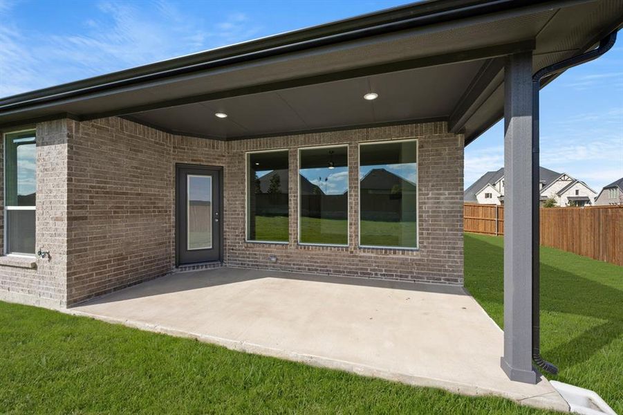 220 Pine Leaf- Back-4 220 Pine Leaf- Back-4