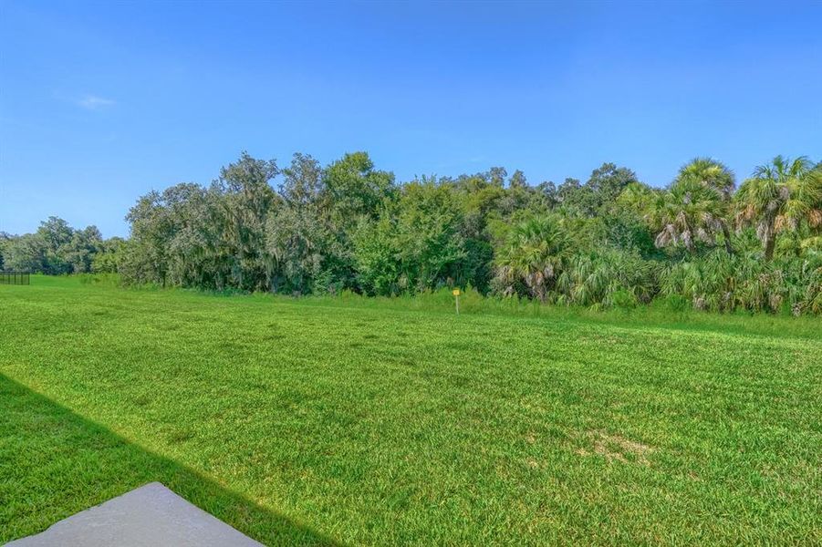 Natural landscape and outdoor views near Salt Meadows - Classic Series in Parrish (Image 31). Natural landscape and outdoor views near Salt Meadows - Classic Series in Parrish (Image 31).