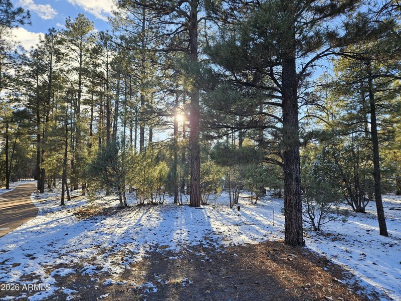 20260109_160713 20260109_160713