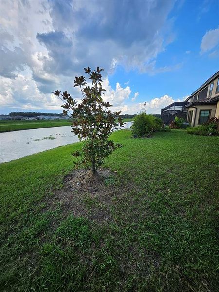 Natural landscape and outdoor views near  in San Antonio (Image 23).