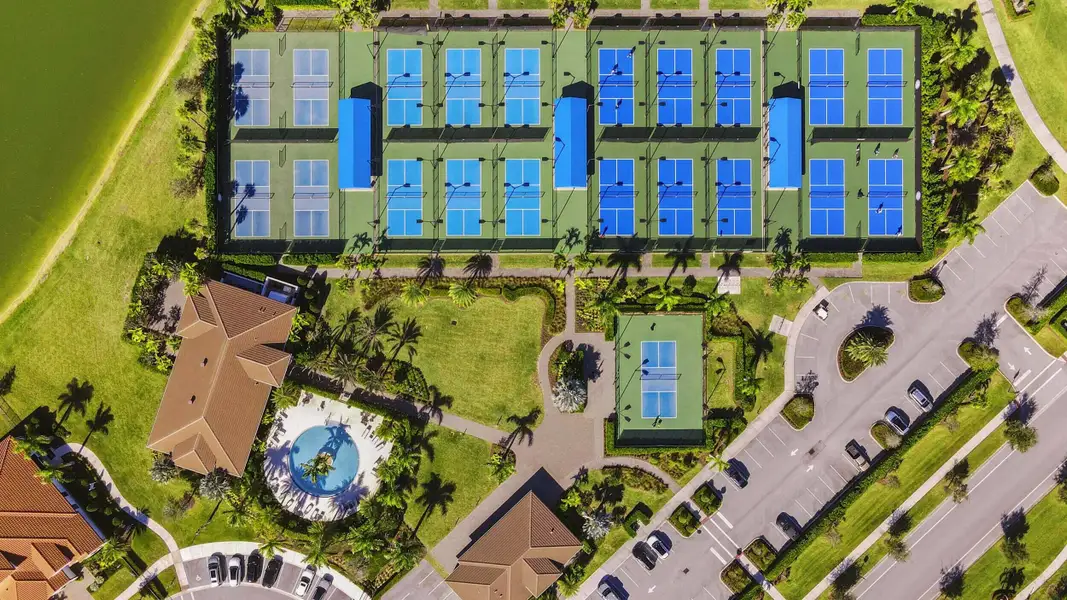 Aerial of community