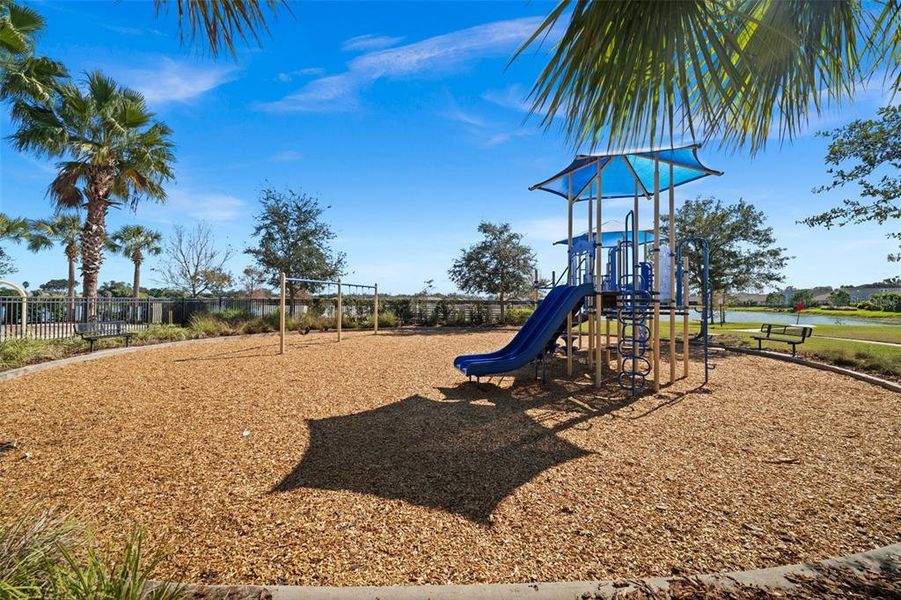 Community amenities in , Palmetto (Image 31).