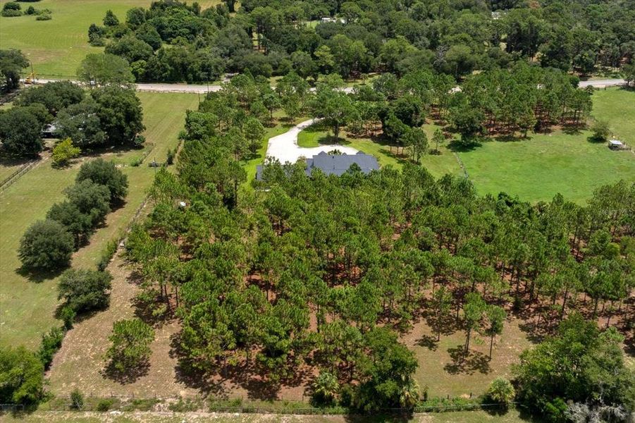 Natural landscape and outdoor views near in Apopka (Image 55). Natural landscape and outdoor views near in Apopka (Image 55).