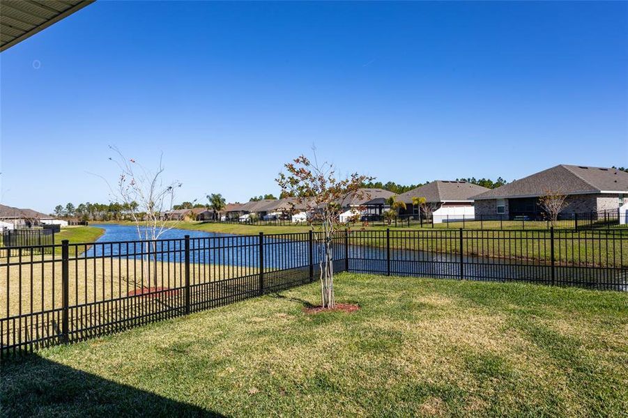 view from fenced backyard