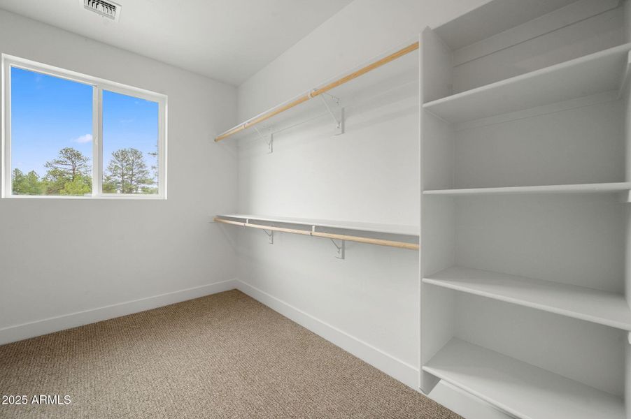 Primary Closet-lot-3-plan-2443-cdr-ridge