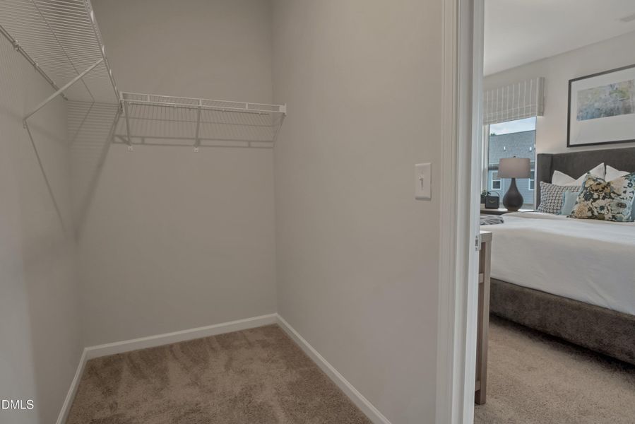 Representational Photo