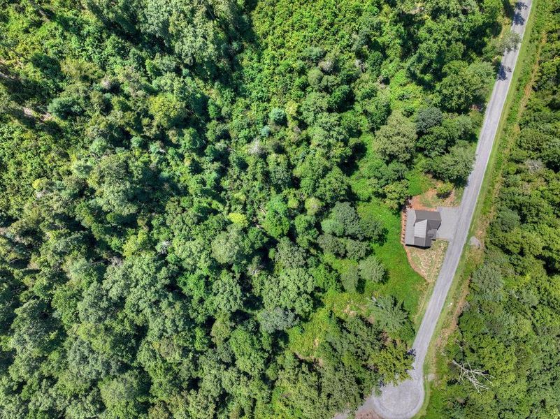 Natural landscape and outdoor views near  in Ellijay (Image 47).