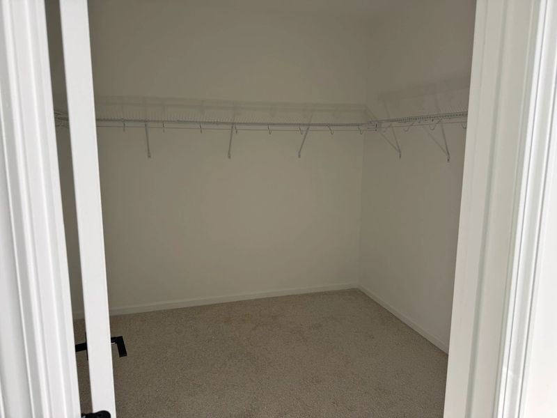 Primary Walk-In featuring the AW Collection® Rosemary - Open space with earthy simplicity.