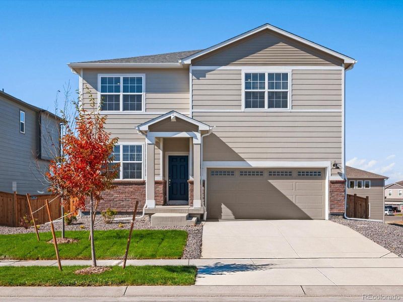 Image 21 of a home in Buffalo Highlands: The Flora Collection.