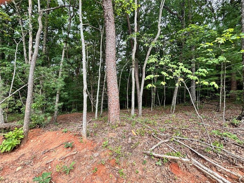 Natural landscape and outdoor views near  in Ellijay (Image 21).