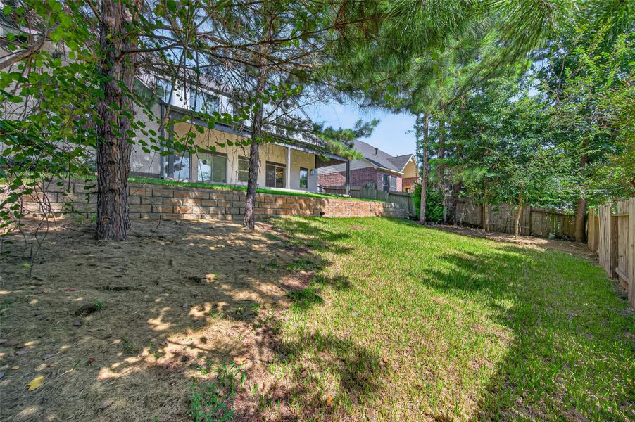 Natural landscape and outdoor views near  in Conroe (Image 45).