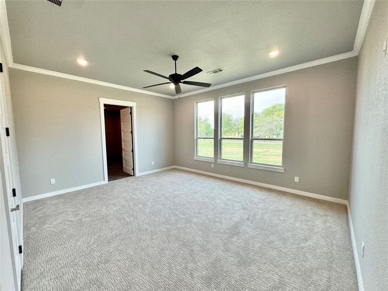 Secondary room featuring a textured ceiling, carpet flooring, ceiling fan, and ornamental molding