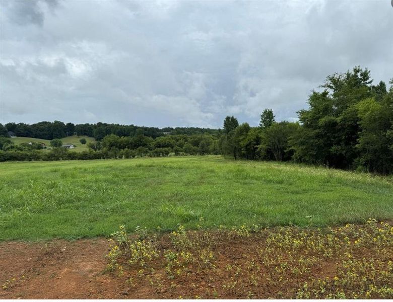 Natural landscape and outdoor views near  in White (Image 70).