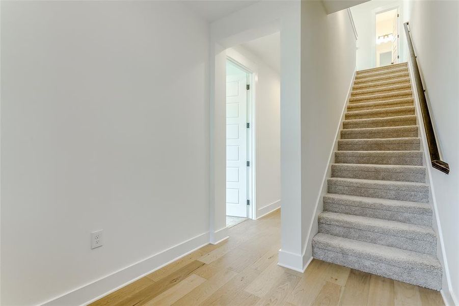 Staircase with wood-type flooring