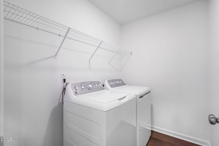 SUN_WesleyDowns_Pic_Davidson-29