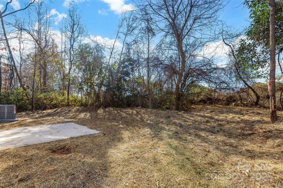 Natural landscape and outdoor views near  in East Spencer (Image 37).