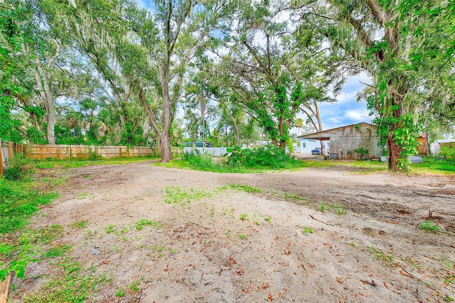 Natural landscape and outdoor views near  in Riverview (Image 14).