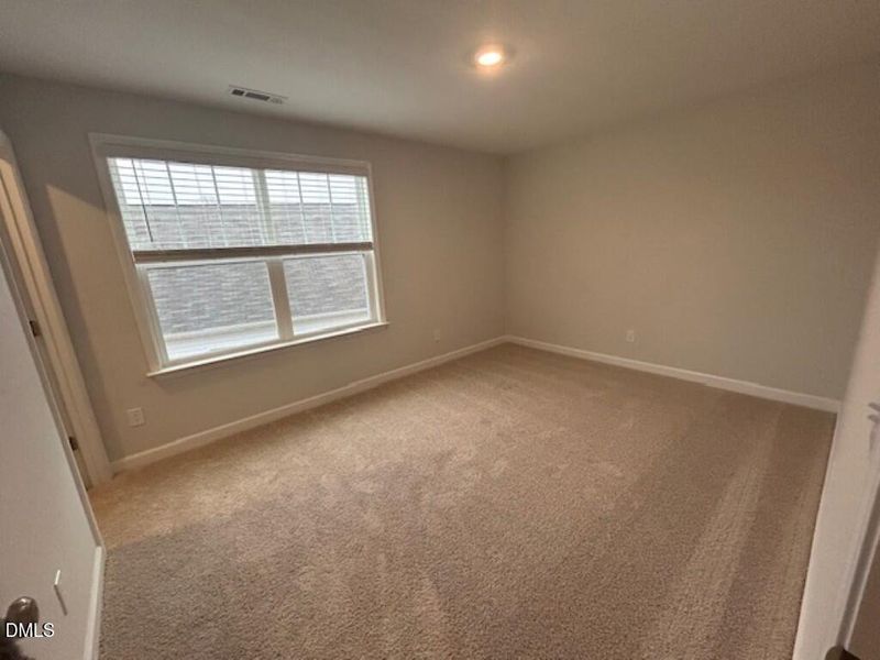 IMG_5047 (Medium) IMG_5047 (Medium)