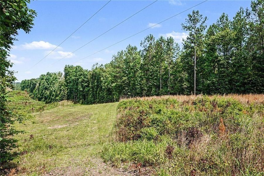 Natural landscape and outdoor views near  in Monticello (Image 32).