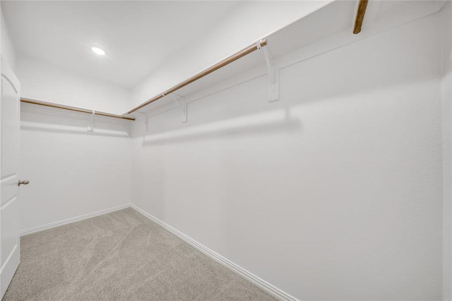 Spacious closet with carpet Spacious closet with carpet