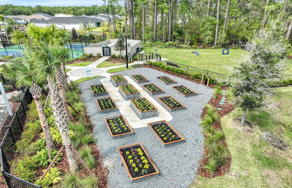 Community Garden