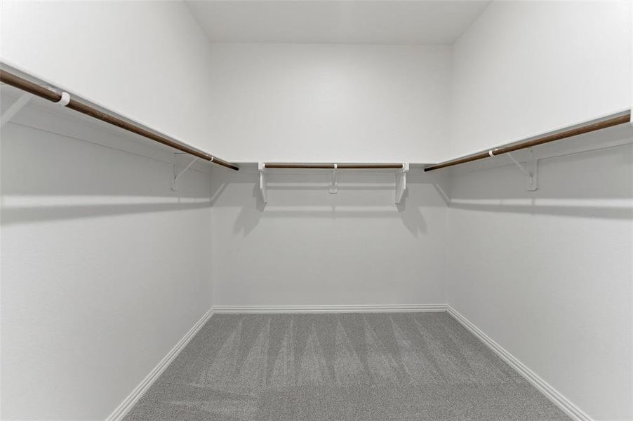 Spacious closet featuring wall-mounted hanging rods, white walls, and gray carpet flooring