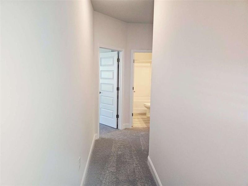 Spacious, unfurnished interior of a new home in Scarlett Place, Bowdon (Image 7).