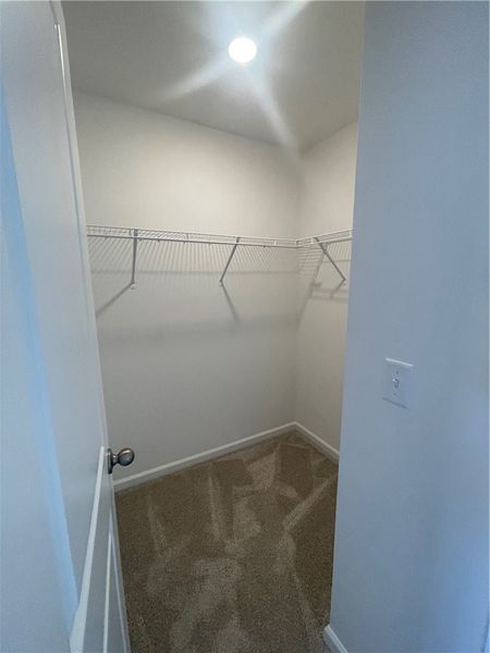 Spacious, unfurnished interior of a new home in Springwood Grove, Central (Image 40).