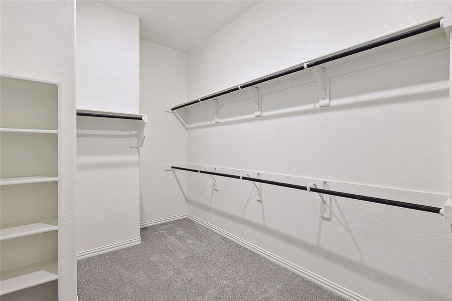 Spacious closet featuring carpet floors