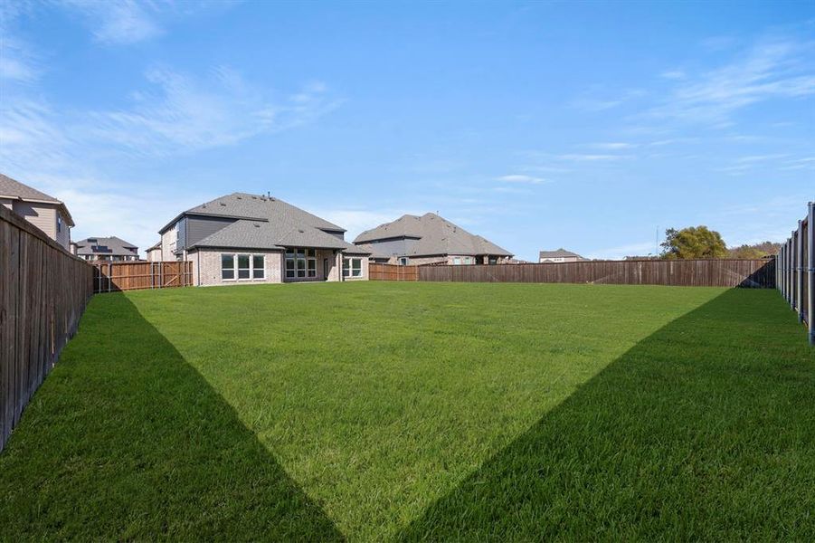 26_27. 953 Gold Finch - Back (2)