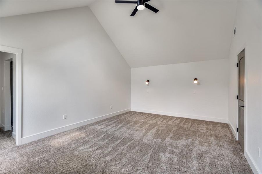 Large primary bedroom with vaulted ceilings, its own skylight which is out of frame as well as the stunning bathroom and custom closets.