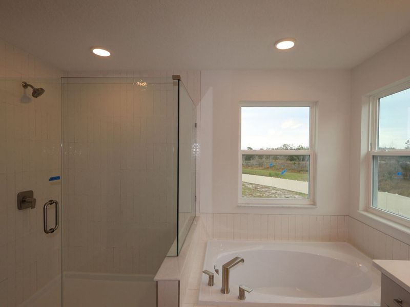Owner's Bathroom