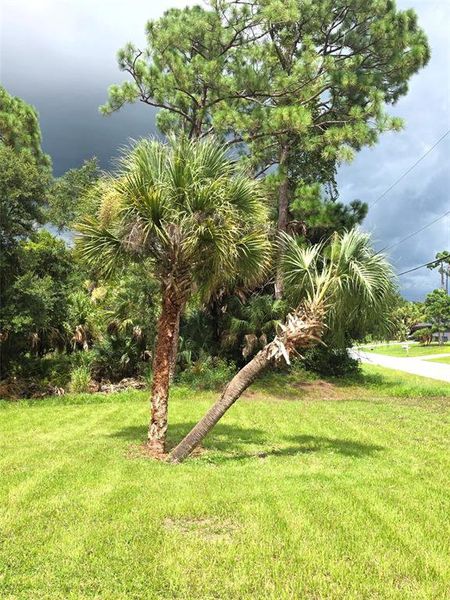 Natural landscape and outdoor views near in North Port (Image 51). Natural landscape and outdoor views near in North Port (Image 51).