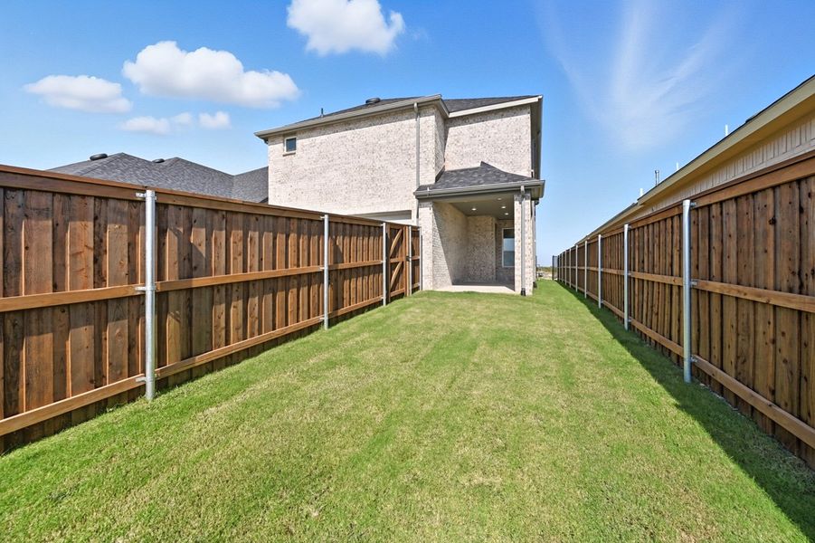 Backyard Backyard