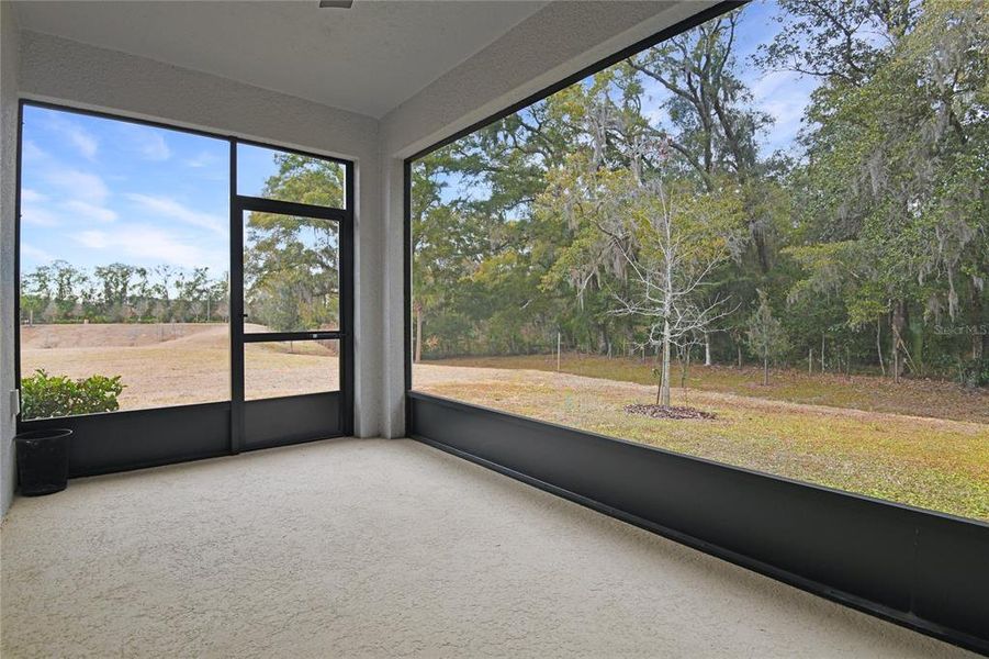 Exterior details and patio area of a home in Seasons at Scenic Terrace, Lake Hamilton (Image 3).