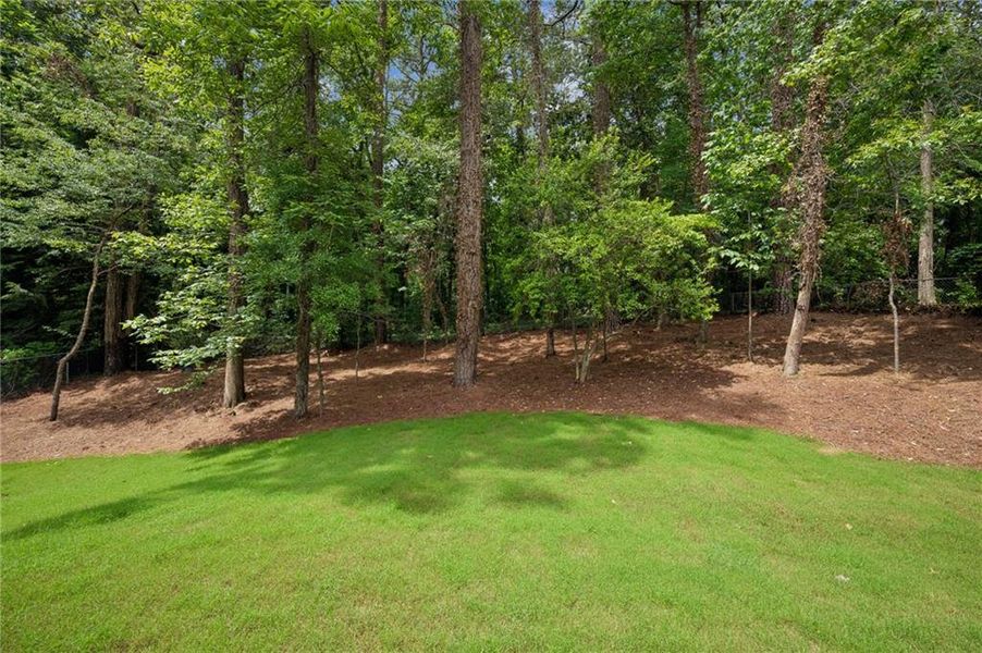 Natural landscape and outdoor views near  in Atlanta (Image 32).