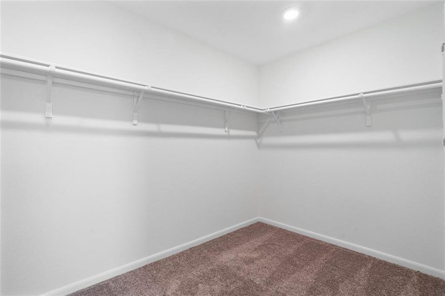 Look at this immaculate closet! With high shelving, multiple rows to hang clothing, you are sure to have enough room for all your belongings!