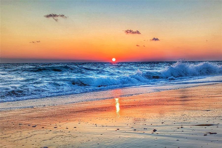 Image 44 of a home in Wellen Park Golf & Country Club.