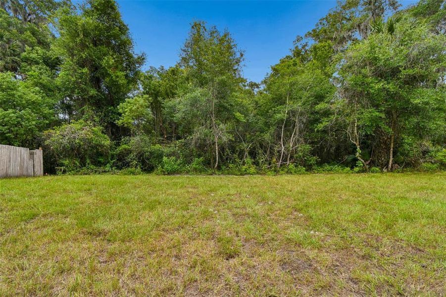 Natural landscape and outdoor views near  in Deland (Image 41).