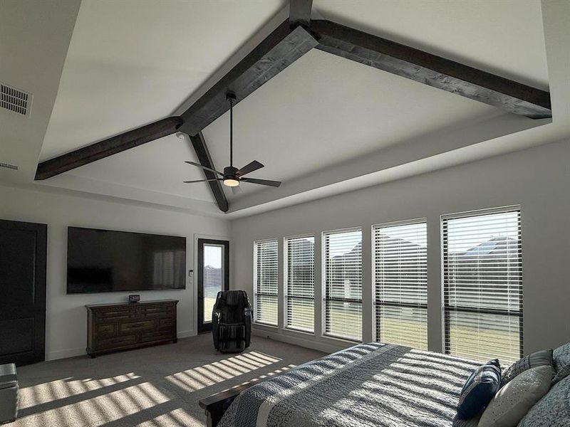Bedroom with access to outside, carpet flooring, a ceiling fan, and a raised ceiling Bedroom with access to outside, carpet flooring, a ceiling fan, and a raised ceiling