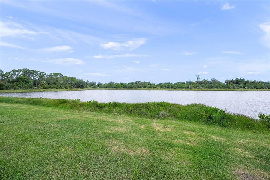 Natural landscape and outdoor views near in Sarasota (Image 42). Natural landscape and outdoor views near in Sarasota (Image 42).